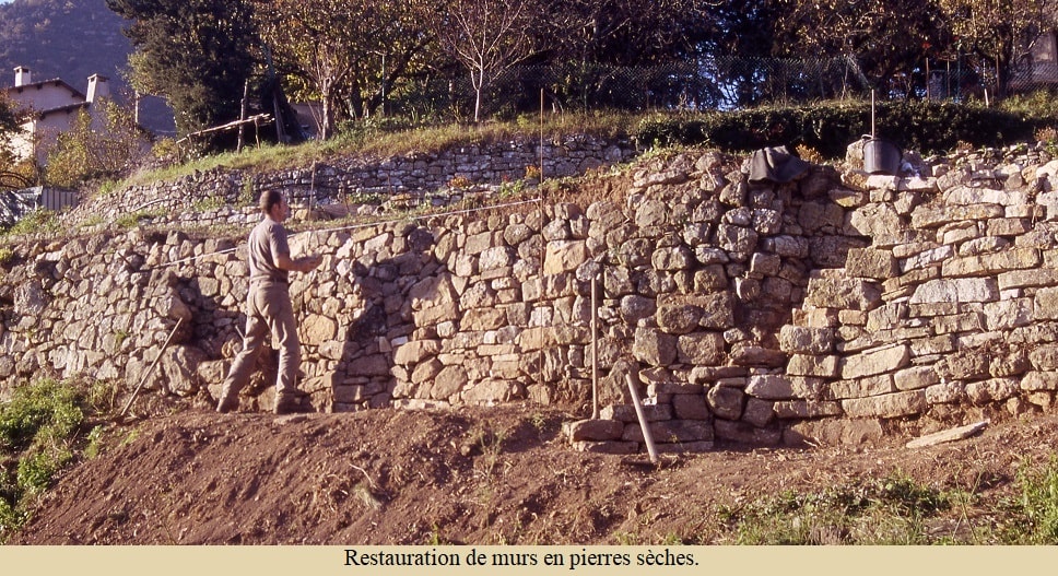Murs en pierre sèche - Jardin de Lauroux 34700